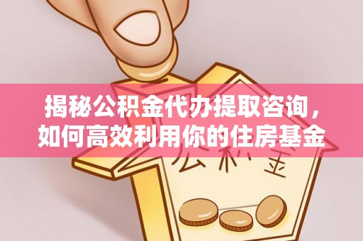 昌乐揭秘公积金代办提取咨询，如何高效利用你的住房基金