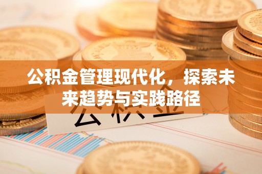 昌乐公积金管理现代化，探索未来趋势与实践路径