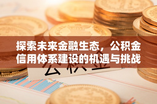 昌乐探索未来金融生态，公积金信用体系建设的机遇与挑战