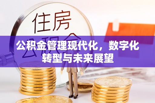 昌乐公积金管理现代化，数字化转型与未来展望