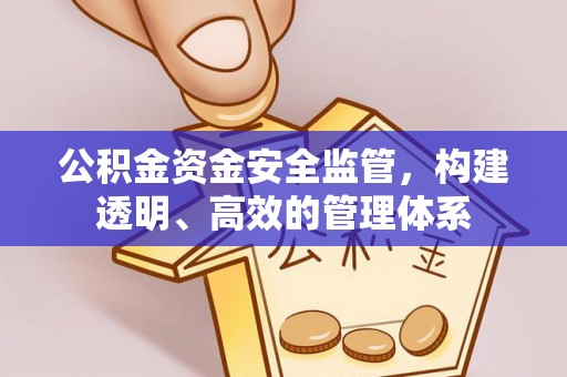 昌乐公积金资金安全监管，构建透明、高效的管理体系