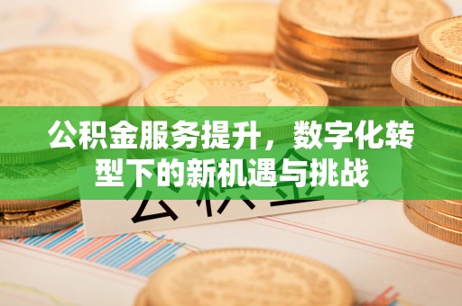 昌乐公积金服务提升，数字化转型下的新机遇与挑战