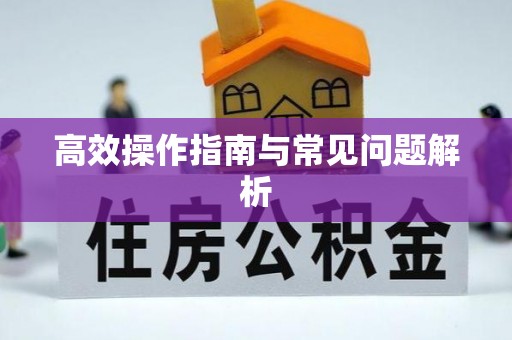 昌乐高效操作指南与常见问题解析
