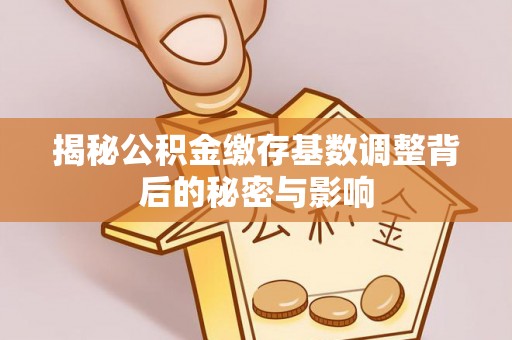 昌乐揭秘公积金缴存基数调整背后的秘密与影响
