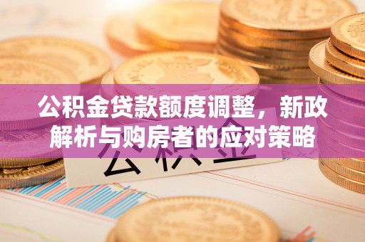 昌乐公积金贷款额度调整，新政解析与购房者的应对策略