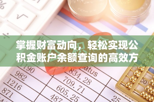 昌乐掌握财富动向，轻松实现公积金账户余额查询的高效方式