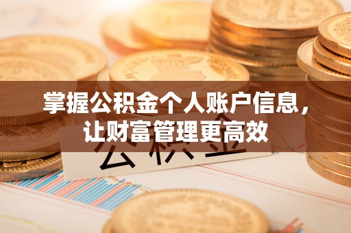 昌乐掌握公积金个人账户信息，让财富管理更高效