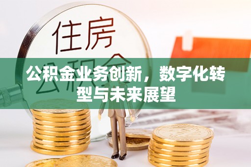昌乐公积金业务创新，数字化转型与未来展望