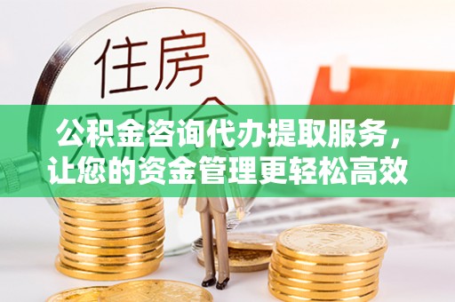 昌乐公积金咨询代办提取服务，让您的资金管理更轻松高效