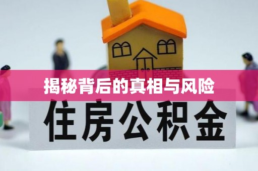 昌乐揭秘背后的真相与风险