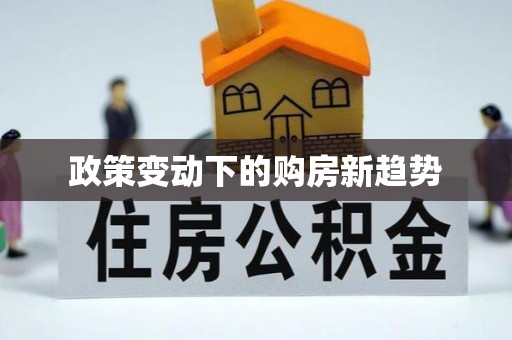 昌乐政策变动下的购房新趋势