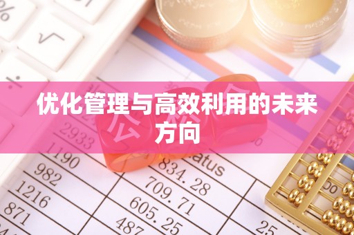 昌乐优化管理与高效利用的未来方向