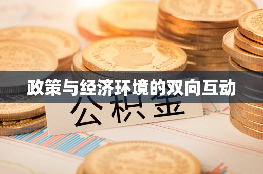 昌乐政策与经济环境的双向互动