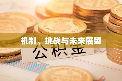 昌乐机制、挑战与未来展望