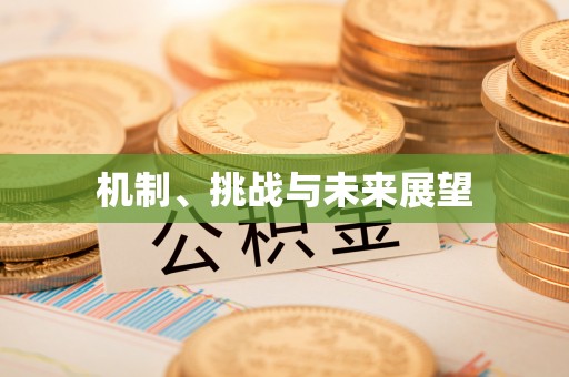 昌乐机制、挑战与未来展望
